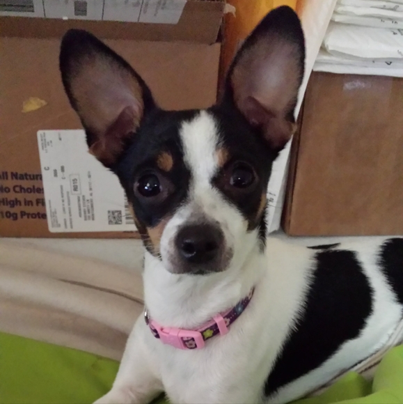 Meet your Posher, Sheryl - Picture 2 of 3